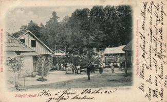 1899 Zsögödfürdő (EB)