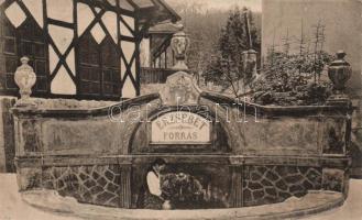 Előpatakfürdő Erzsébet fountain