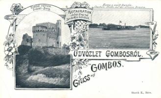 Gombos ferry, Erdőd castle ruins (Rb)