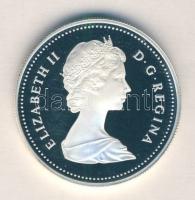 Kanada 1984. 1$ Ag "Toronto" T:PP
Canada 1984. 1 Dollar Ag "Toronto" C:PP