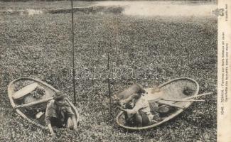 Spinach pickers, Tonkin (fl)