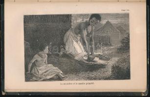 David & Charles Livingstone: Explorations dans l'Afrique Australe et dans le bassin du Zamb...