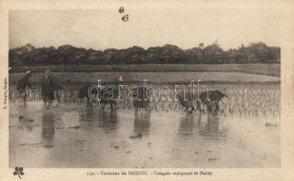 Saigon, folklore (fl)