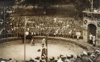 Military WWI Spanish horse show for soldiers photo