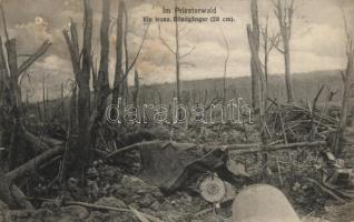 Military WWI Unexploded ordnance im Priesterwald