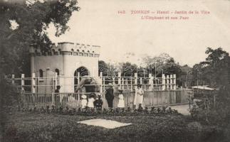 Hanoi park, elephant