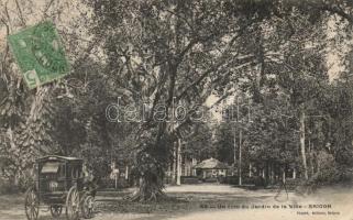 Saigon park