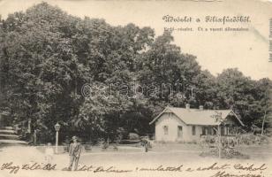 Félixfürdő forest