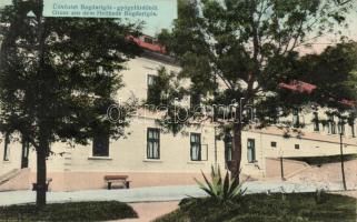 Bogdarigós-Gyógyfürdő spa