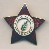 ~1970. "Szocialista Kultúráért" kitüntetés dísztokban T:1