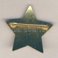 ~1970. "Szocialista Kultúráért" kitüntetés dísztokban T:1