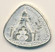 ~1970. Pedagógus Törzsgárda Kiskunfélegyháza emlékplakett eredeti dísztokban T:2-