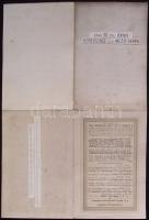 Lechner Beregszász és Mezőtarpa és környéke vászon katonai térkép / Military plan on canvas 50x40 cm