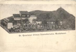 Budakeszi Dr. Gosztonyi Vilmos szanatóriuma (kis szakadás / small tear)