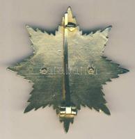 Német 3. Birodalom 1939. "Vaskereszt Nagykeresztjének Csillaga/aranyozott" gyűjtői replika...