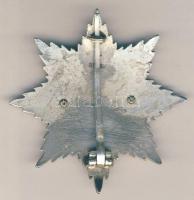 Német 3. Birodalom 1939. "Vaskereszt Nagykeresztjének Csillaga/ezüstözött" gyűjtői replika...