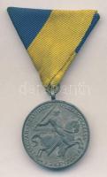 1941. "Délvidéki Emlékérem" szalaggal T:2 1941. Commemorative Medal for the Return of Southern Hungary with ribbon C:XF