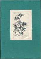 1974 Dr. Illyés Sándor László: Joszef Nechanszky grafikus albuma 8db dedikált rézkarccal, sorszámott...