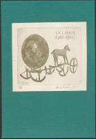 1974 Dr. Illyés Sándor László: Joszef Nechanszky grafikus albuma 8db dedikált rézkarccal, sorszámott...