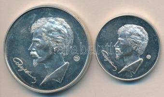 Lapis András: Petőfi Sándor szülőháza ezüstözött Br emlékérem pár (42mm/32mm)) T:P
