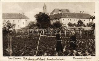 Tata-Tóváros - 2 db jó minőségű régi képeslap a 20-as évekből