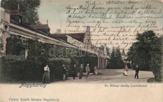 Nagykároly Károlyi castle park (fa)