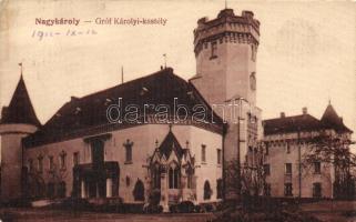 Nagykároly Károlyi castle (wet damage)