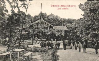 Aknaszlatina Lajos spa