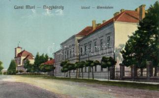 Nagykároly grammar school