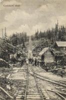 Gyulafalva funicular (fa)