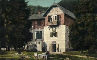 Nagybánya Dr Wagner sanatorium (Rb)