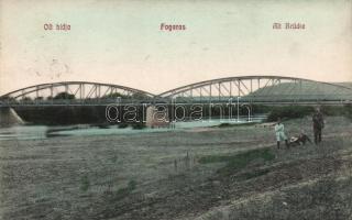 Fogaras Olt bridge (wet damage)