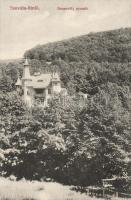 Szovátafürdő Villa Dessewffy