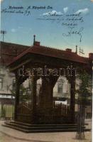 Kolozsvár Kárpátok őre