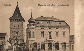 Nagyszalonta Arany museum (fa)