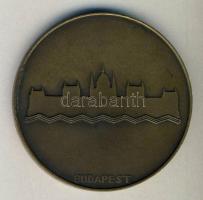 1930. "XII. Nemzetközi Építész Kongresszus-Budapest" Br plakett (d=61mm) T:2