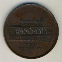 1865. "MTA székháza megnyitásának emlékéül" Br emlékérem (d=50mm) Szign. C.Radnitzky T:2-
