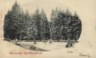 Iglófüred park