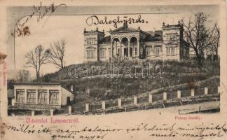 Losonc Prónay castle (fl)