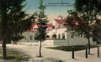 Nagyszeben forest restaurant (b)