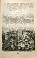 1939 Az ezeréves Magyarország, a Pesti Hírlap Rt. kiadása, Bp., 1.200 oldalon 1.031 mélynyomású fény...
