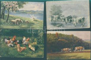 11 db régi ÁLLAT motívumlap, közte lithok is