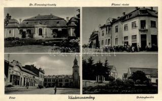 Vásárosnamény dohánybeváltóval, a Tomcsányi-kastéllyal