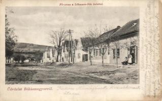 Budapest III. Békásmegyer Fő utca a Löbmann-féle üzlettel