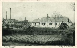 Tokod üveggyár telep és kolónia