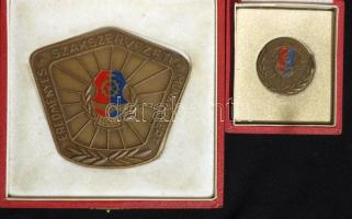 DN. "Eredményes szakszervezeti munkájáért" zománcozott Br szögletes emlékplakett (8x9cm) + "A szakszervezetért" kitűző mindkettő eredeti dísztokban T:2