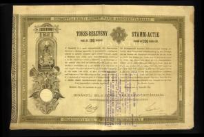1891. "Dunántúli Helyi Érdekű Vasút Részvénytársaság" törzs-részvénye 100Ft-ról szelvényekkel, szárazpecséttel magyar és német nyelven