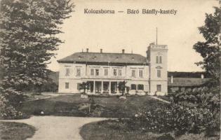 Kolozsborsa Bánffy castle