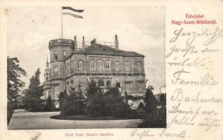 Nagyszentmiklós Nakó castle