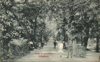 Félixfürdő alley to the station